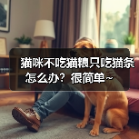 猫咪不吃猫粮只吃猫条怎么办?很简单~(图4) 猫咪不吃猫粮只吃猫条怎么办全攻略(图4)