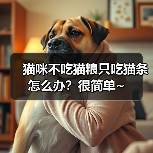 猫咪不吃猫粮只吃猫条怎么办?很简单~(图3) 猫咪不吃猫粮只吃猫条怎么办全攻略(图3)
