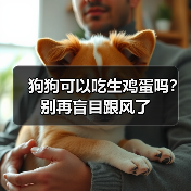 狗狗可以吃生鸡蛋吗?别再盲目跟风了(图2) 狗狗可以吃生鸡蛋吗实用指南(图2)
