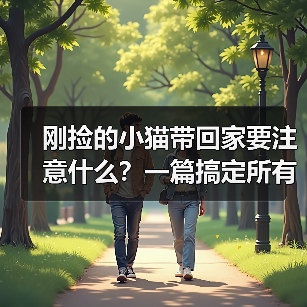 刚捡小猫带回家注意事项全攻略