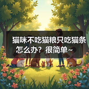 猫咪不吃猫粮只吃猫条怎么办全攻略