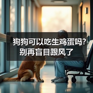 狗狗可以吃生鸡蛋吗?别再盲目跟风了(图3) 狗狗可以吃生鸡蛋吗实用指南(图3)