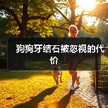 狗狗牙结石被忽视的代价(图4) 狗狗牙结石被忽视的代价|全攻略(图4)