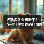 怀孕多久会显肚子?(孕妇肚子显现的时间表)(图3) 怀孕多久显肚子全攻略(图3)