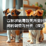 杯状病毒致死时间探究全攻略