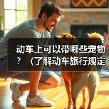 动车上可以带哪些宠物?(了解动车旅行规定,带上合适的宠物与你共享旅途)(图1) 动车带宠物全攻略(图1)