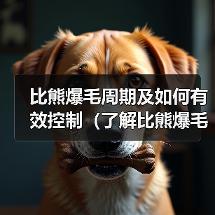 比熊爆毛周期及如何有效控制(了解比熊爆毛周期,让你的爱犬毛发亮丽如新)(图4) 比熊爆毛周期及如何有效控制全攻略(图4)