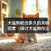 犬瘟狗存活时间关键因素全攻略(图1)
