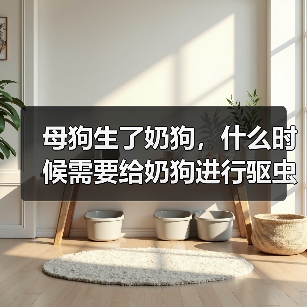 母狗奶狗驱虫时间及方法全攻略(图3)