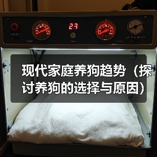 现代家庭养狗趋势(探讨养狗的选择与原因)(图4) 现代家庭养狗趋势探讨选择与原因全攻略(图4)