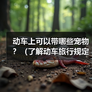 动车上可以带哪些宠物?(了解动车旅行规定,带上合适的宠物与你共享旅途)(图4) 动车带宠物全攻略(图4)