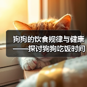 狗狗的饮食规律与健康——探讨狗狗吃饭时间的合理安排(了解狗狗的饮食需求,为其提供适当的进食时间)(图4) 狗狗饮食规律与健康|合理安排吃饭时间全攻略(图4)