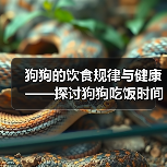 狗狗的饮食规律与健康——探讨狗狗吃饭时间的合理安排(了解狗狗的饮食需求,为其提供适当的进食时间)(图2) 狗狗饮食规律与健康|合理安排吃饭时间全攻略(图2)