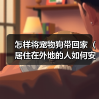 怎样将宠物狗带回家(居住在外地的人如何安全、顺利地将宠物狗带回家)(图2) 异地带宠物狗回家安全顺利全攻略(图2)