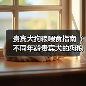 贵宾犬狗粮喂食指南｜不同年龄喂食标准