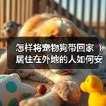 怎样将宠物狗带回家(居住在外地的人如何安全、顺利地将宠物狗带回家)(图4) 异地带宠物狗回家安全顺利全攻略(图4)