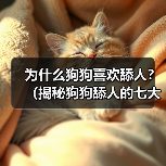 为什么狗狗喜欢舔人?(揭秘狗狗舔人的七大原因)(图4) 狗狗舔人原因揭秘全攻略(图4)