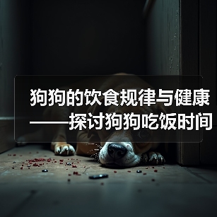 狗狗饮食规律与健康｜合理安排吃饭时间全攻略