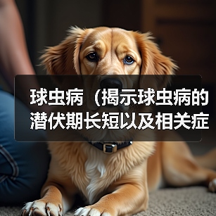 球虫病(揭示球虫病的潜伏期长短以及相关症状表现)(图2) 球虫病潜伏期症状全攻略(图2)