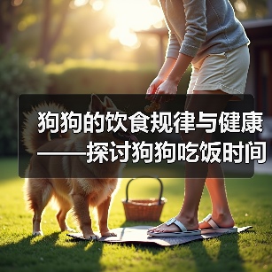 狗狗的饮食规律与健康——探讨狗狗吃饭时间的合理安排(了解狗狗的饮食需求,为其提供适当的进食时间)(图3) 狗狗饮食规律与健康|合理安排吃饭时间全攻略(图3)