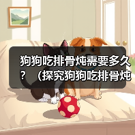 狗狗吃排骨炖需要多久?(探究狗狗吃排骨炖的最佳时间和做法)(图4) 狗狗吃排骨炖做法与最佳时间全攻略(图4)