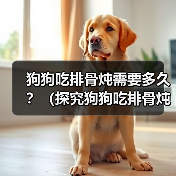 狗狗吃排骨炖需要多久?(探究狗狗吃排骨炖的最佳时间和做法)(图3) 狗狗吃排骨炖做法与最佳时间全攻略(图3)