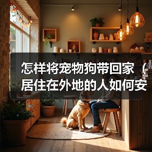 怎样将宠物狗带回家(居住在外地的人如何安全、顺利地将宠物狗带回家)(图3) 异地带宠物狗回家安全顺利全攻略(图3)