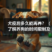 犬疫后多久能再养全攻略