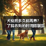 犬疫后多久能再养?(了解养狗的时间限制及注意事项)(图4) 犬疫后多久能再养全攻略(图4)