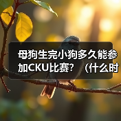 母狗生完小狗多久能参加CKU比赛?(什么时候开始训练是关键)(图4) 母狗生完小狗多久能参加CKU比赛全攻略(图4)