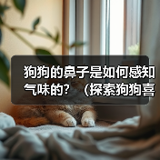 狗狗的鼻子是如何感知气味的?(探索狗狗喜欢的气味和它们的鼻子可以嗅探的臭味)(图4) 狗狗鼻子感知气味全攻略(图4)