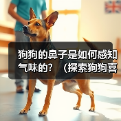 狗狗鼻子感知气味全攻略
