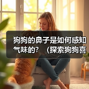 狗狗的鼻子是如何感知气味的?(探索狗狗喜欢的气味和它们的鼻子可以嗅探的臭味)(图2) 狗狗鼻子感知气味全攻略(图2)