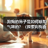 狗狗的鼻子是如何感知气味的?(探索狗狗喜欢的气味和它们的鼻子可以嗅探的臭味)(图3) 狗狗鼻子感知气味全攻略(图3)