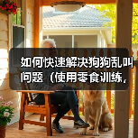 如何快速解决狗狗乱叫问题｜使用零食训练全攻略