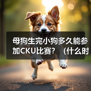 母狗生完小狗多久能参加CKU比赛全攻略