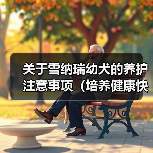 关于雪纳瑞幼犬的养护注意事项(培养健康快乐的雪纳瑞幼犬,关键在于细致养护)(图2) 雪纳瑞幼犬养护全攻略(图2)
