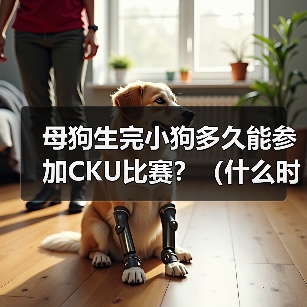 母狗生完小狗多久能参加CKU比赛?(什么时候开始训练是关键)(图3) 母狗生完小狗多久能参加CKU比赛全攻略(图3)