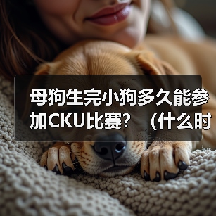 母狗生完小狗多久能参加CKU比赛?(什么时候开始训练是关键)(图2) 母狗生完小狗多久能参加CKU比赛全攻略(图2)