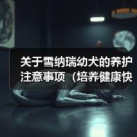 关于雪纳瑞幼犬的养护注意事项(培养健康快乐的雪纳瑞幼犬,关键在于细致养护)(图4) 雪纳瑞幼犬养护全攻略(图4)