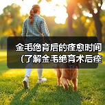 金毛绝育后的痊愈时间(了解金毛绝育术后痊愈所需时间的重要性)(图4) 金毛绝育后痊愈时间全攻略(图4)
