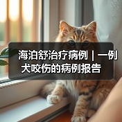 海泊舒治疗病例 | 一例犬咬伤的病例报告(图4) 犬咬伤保守治疗全攻略(图4)