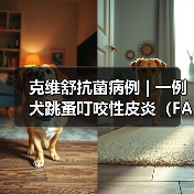 犬跳蚤叮咬皮炎诊疗全攻略