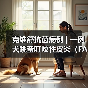 克维舒抗菌病例 | 一例犬跳蚤叮咬性皮炎(FAD)的病例分析(图2) 犬跳蚤叮咬皮炎诊疗全攻略(图2)