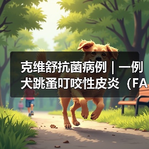 克维舒抗菌病例 | 一例犬跳蚤叮咬性皮炎(FAD)的病例分析(图4) 犬跳蚤叮咬皮炎诊疗全攻略(图4)