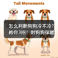 怎么判断狗狗冷不冷?教你3招!附狗狗保暖小Tips✔(图3) 怎么判断狗狗冷不冷?教你3招!附狗狗保暖小Tips✔全攻略(图3)