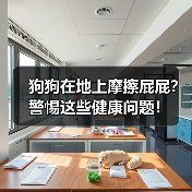 狗狗在地上摩擦屁屁?警惕这些健康问题!(图2) 狗狗在地上摩擦屁屁?警惕这些健康问题全攻略(图2)