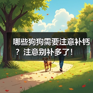 哪些狗狗需要注意补钙全攻略