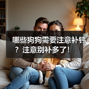 哪些狗狗需要注意补钙全攻略(图2)