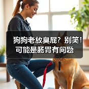 狗狗老放臭屁?别笑!可能是肠胃有问题(图4) 狗狗老放臭屁?饮食调理全攻略(图4)